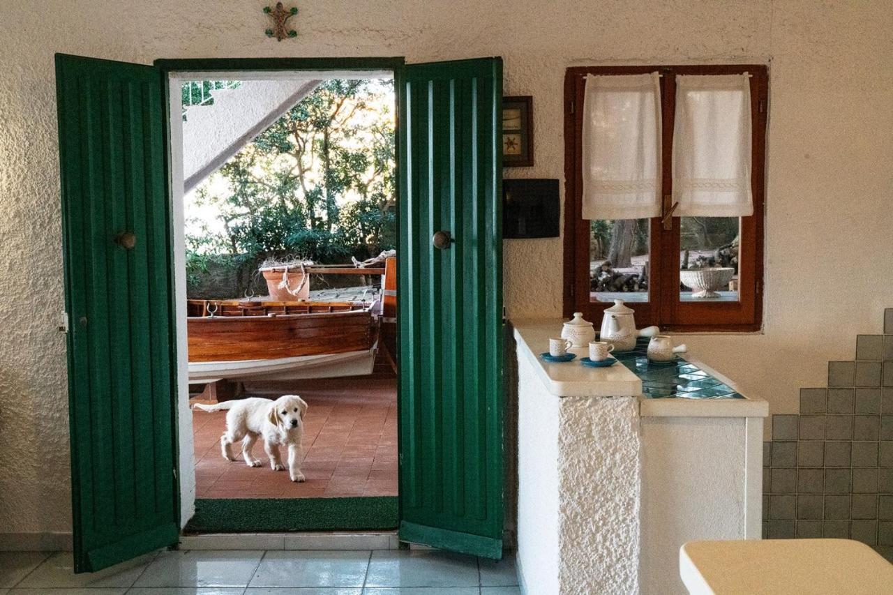 Villa Angela Santa Teresa Gallura Bagian luar foto